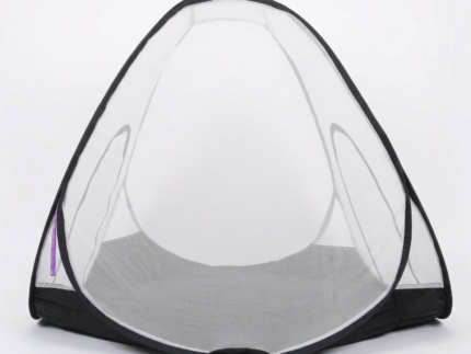 Queen Size 5.5 x 6.5 ft